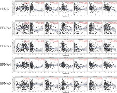 The Pan-Cancer Crosstalk Between the EFNA Family and Tumor Microenvironment for Prognosis and Immunotherapy of Gastric Cancer